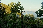 Veduta del Frontone di Palinuro tra le verdure di un tipico orto cilentano situato a Pietralata, frazione di Pisciotta.
Foto di Pietro Morabito.